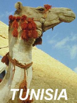 Traghetti Tunisia