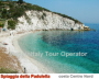 Padulella